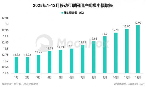 2025年第四季度移動互聯(lián)網(wǎng)行業(yè)數(shù)據(jù)研究報告 數(shù)據(jù)服務領域的深度洞察