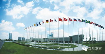 新春開門紅 20個(gè)產(chǎn)業(yè)化項(xiàng)目扎堆中國醫(yī)藥城，技術(shù)服務(wù)開啟新篇章