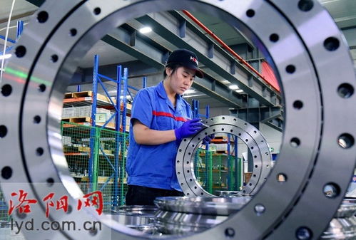 洛陽鴻元軸承科技 深耕精密軸承研發(fā)，以卓越技術(shù)開拓全球市場